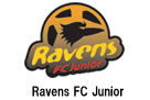 Ravens